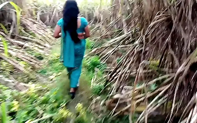 POV close-up of sexy married girlfriend getting naughty in the sugarcane field