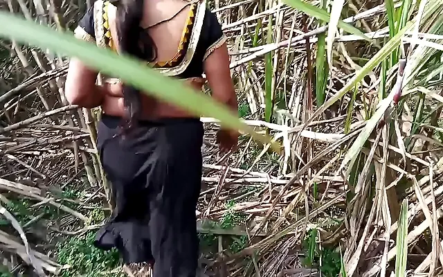 做爰无 亚洲熟 高清免费 Fucking in the sugarcane field with my step aunty outdoors