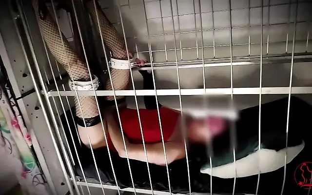 亚洲免费 无码专区 A片欧美 Sunlit Breeding Farm Session Hot Milf Inseminated by Strangers Yearly
