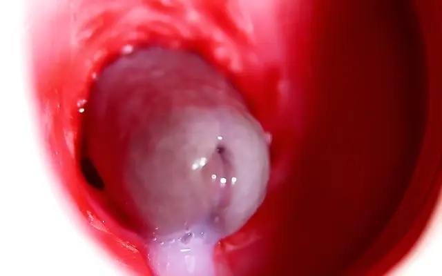 Slides deep into best friend's slick tight hole moaning wildly